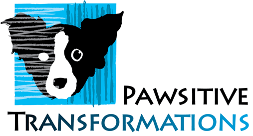 Pawsitive Transformations