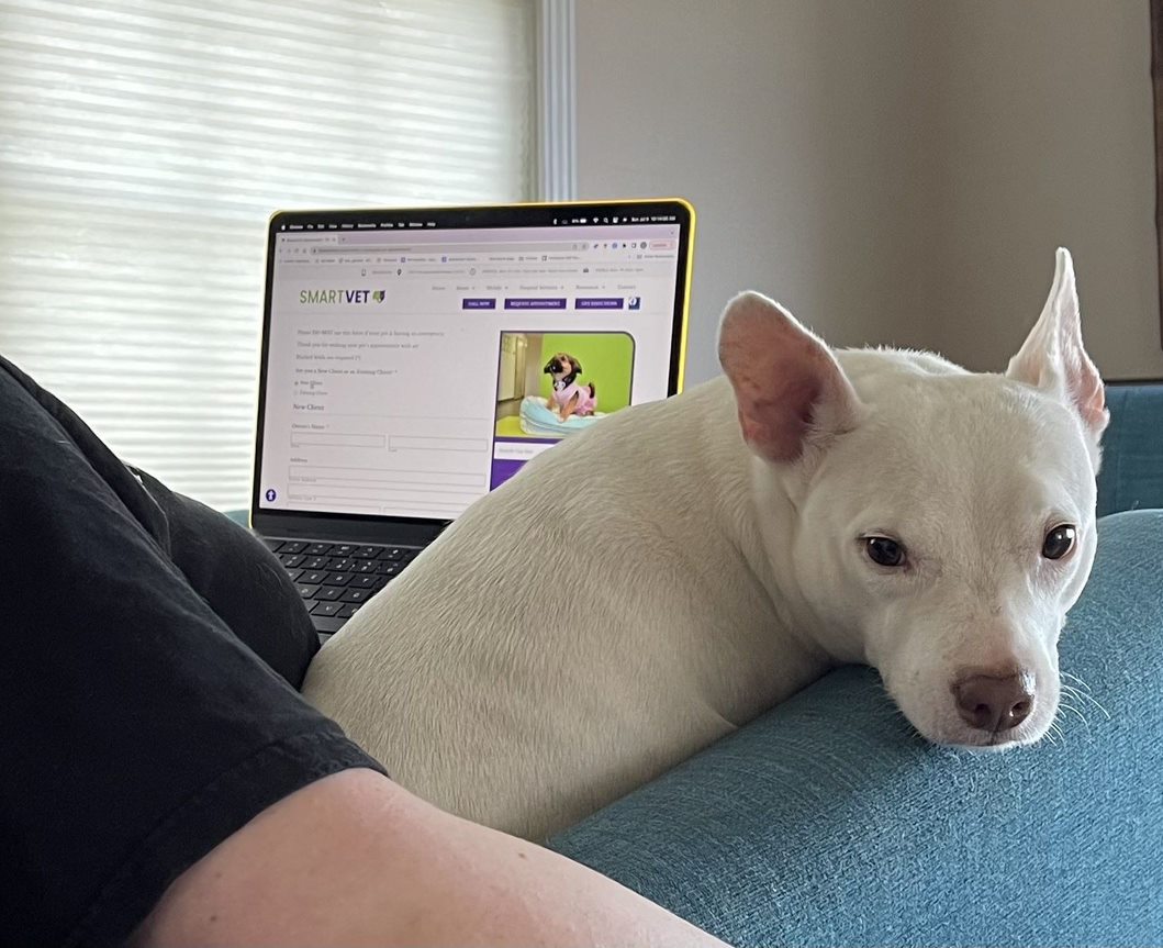 SmartPay Pre-Payment Plan For Veterinary Care | SmartVet